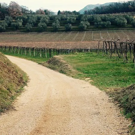 Κατάλυμα σε φάρμα Azienda Agricola Rovertondo *